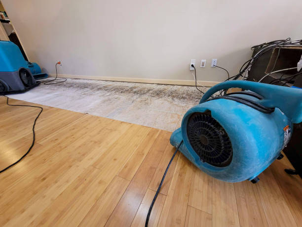 Professional Sewage Cleanup technician working in Frederick, OK